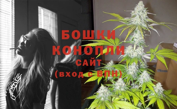стаф Шадринск