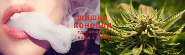 гидра Шали
