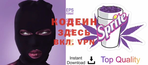 стаф Шадринск