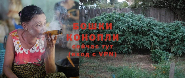 гидра Шали