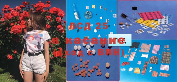 гидра Шали