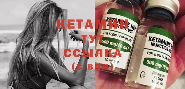 стаф Шадринск