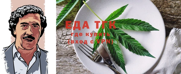 стаф Шадринск