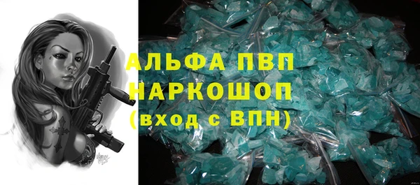 гидра Шали
