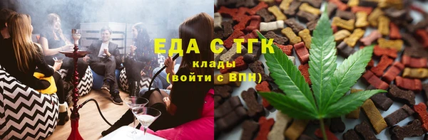 стаф Шадринск