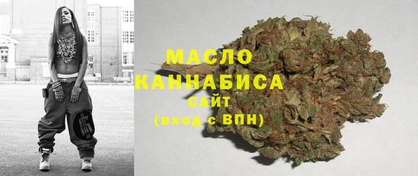 стаф Шадринск