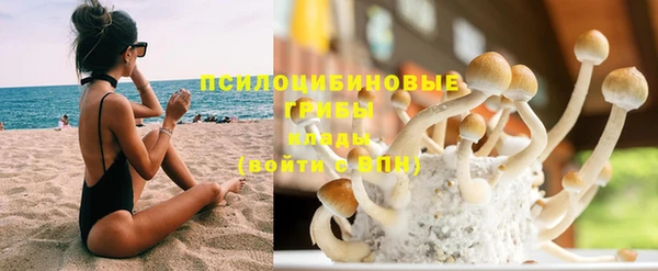 Альфа ПВП Шарыпово