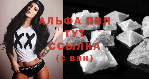 гидра Шали