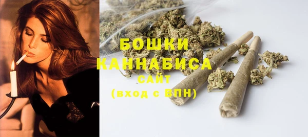 гидра Шали