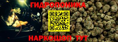 PSILOCYBIN Волжский
