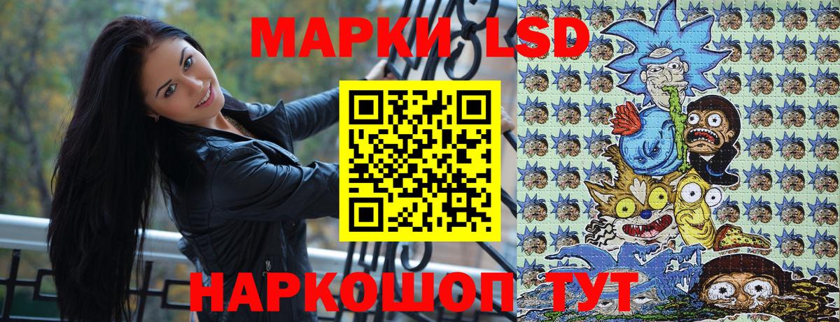 Бошки Шишки Александров