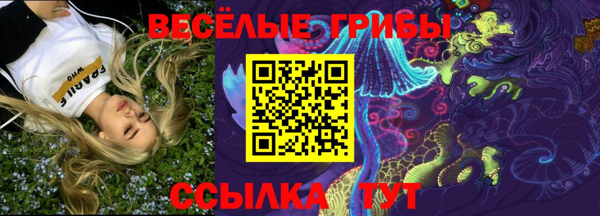 ГАШ Александров