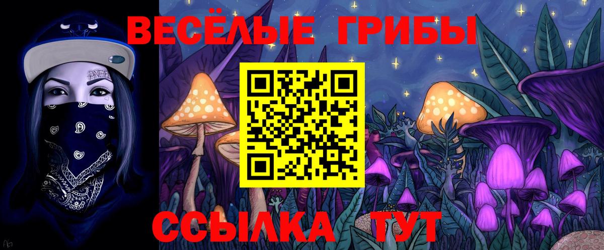 Галлюциногенные грибы мицелий Александров