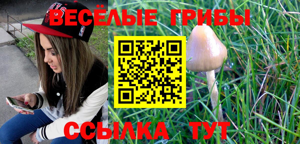 Псилоцибиновые грибы Magic Shrooms  Галлюциногенные грибы мухоморы  Вход с VPN  Александров 