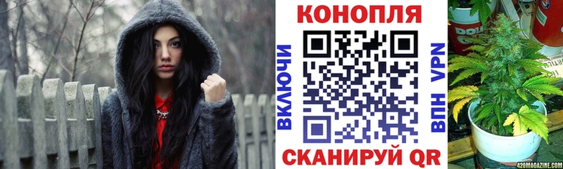 Конопля SATIVA & INDICA  ссылка на мегу ссылки  Александров 